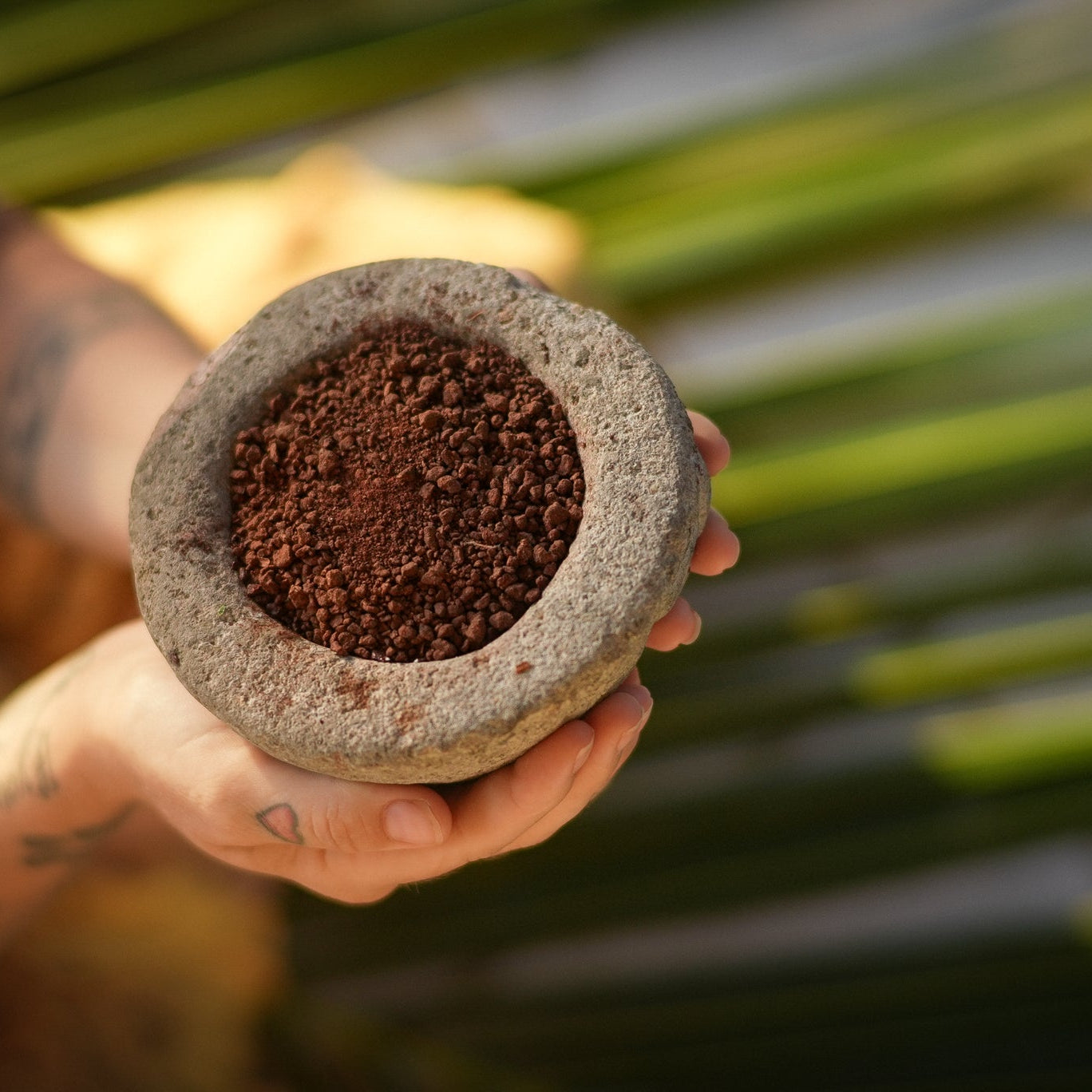 SEVA CACAO FROM CABICAR TRIBE