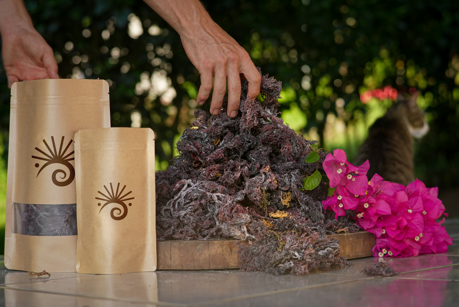 Wildcrafted Caribbean Sea Moss