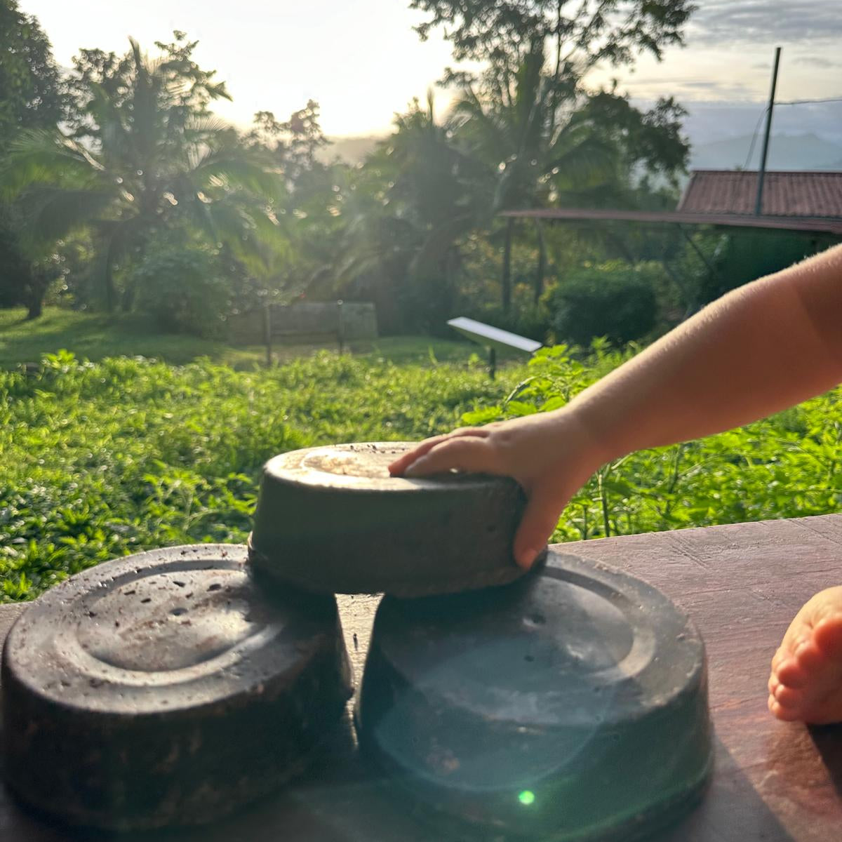 Seva Ceremonial Cacao - Handcrafted in the Talamanca Mountains