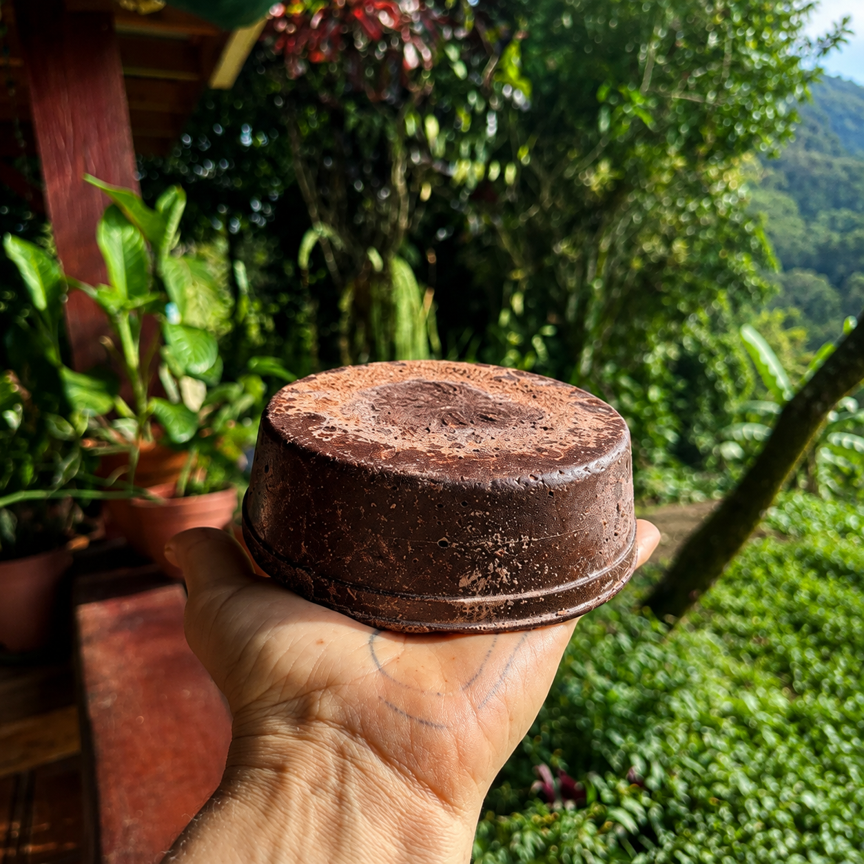 Seva Ceremonial Cacao - Handcrafted in the Talamanca Mountains