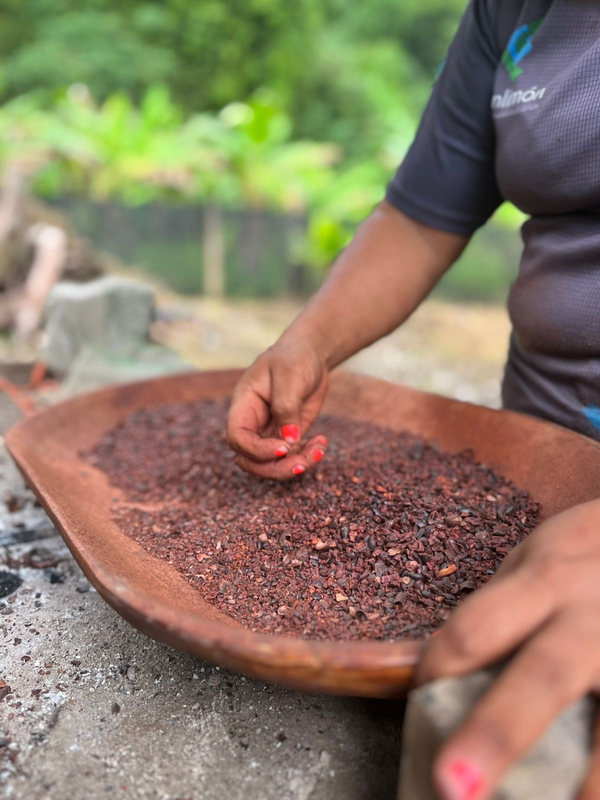 Cacao Moss Magic